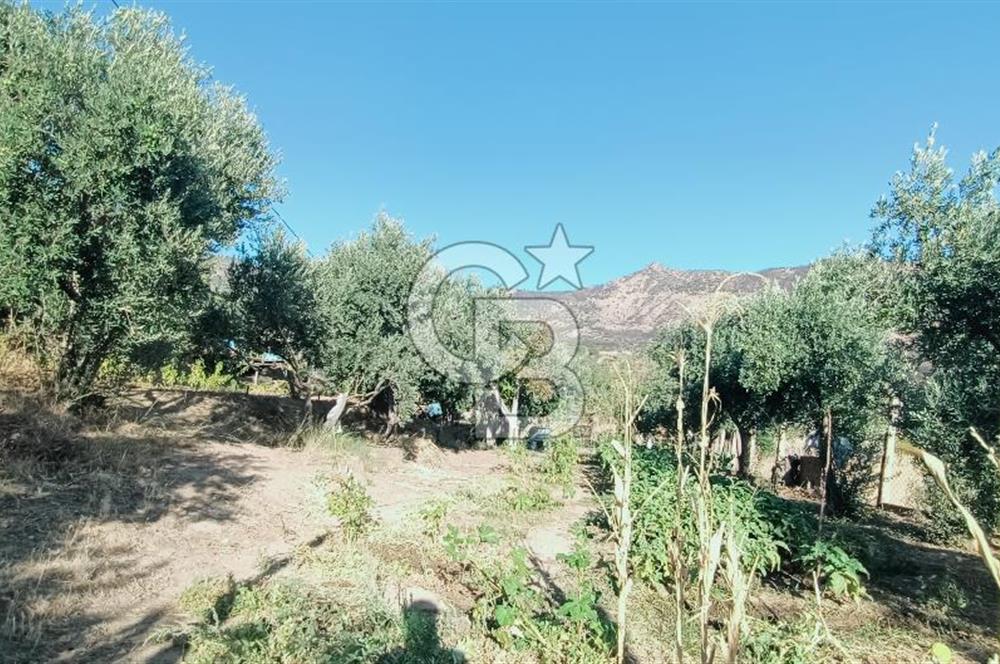 İZMİR BAYRAKLI DOĞANÇAY’DA SATILIK TARLA