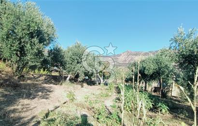 İZMİR BAYRAKLI DOĞANÇAY’DA SATILIK TARLA