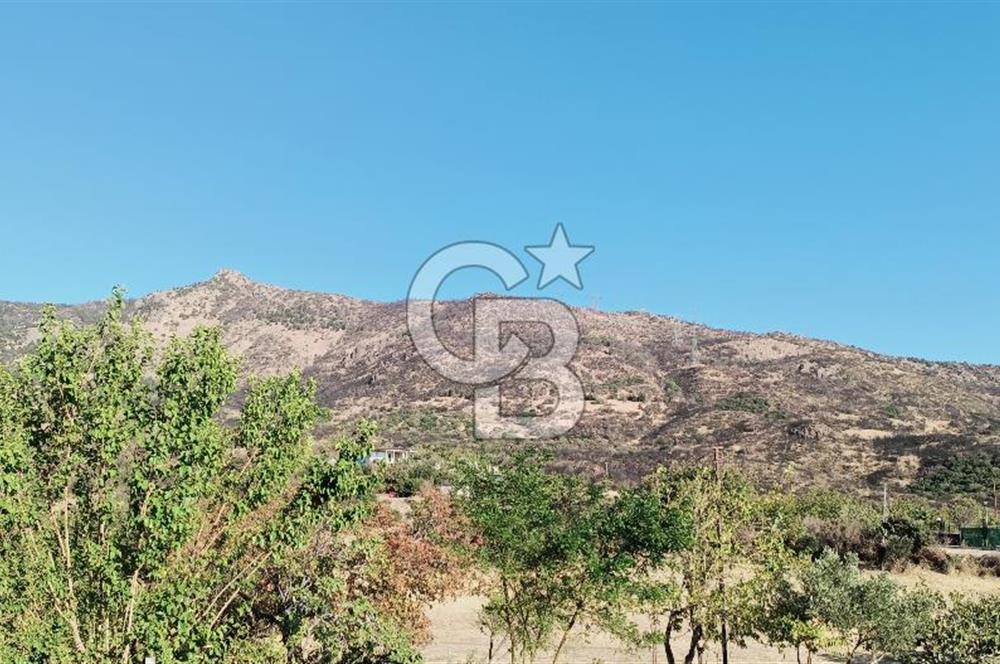 İZMİR BAYRAKLI DOĞANÇAY’DA SATILIK TARLA