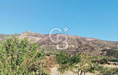 İZMİR BAYRAKLI DOĞANÇAY’DA SATILIK TARLA