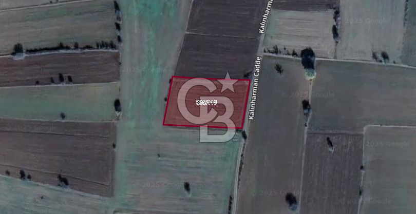 CB BLACK'TAN KÜTAHYA'DA SATILIK TARLA