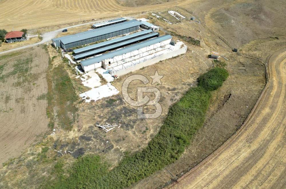 CB ENVOY'DAN ANKARA POLATLI KARGALI KÖYÜ SATILIK ÇİFTLİK