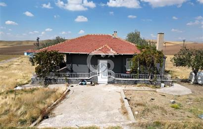CB ENVOY'DAN ANKARA POLATLI KARGALI KÖYÜ SATILIK ÇİFTLİK