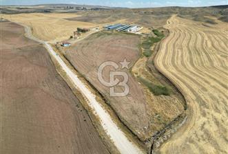 CB ENVOY'DAN ANKARA POLATLI KARGALI KÖYÜ SATILIK ÇİFTLİK