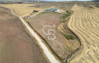 CB ENVOY'DAN ANKARA POLATLI KARGALI KÖYÜ SATILIK ÇİFTLİK