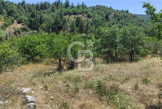 BURSA BÜYÜKORHANDA 11 DÖNÜM ÇİFTLİK ARAZİSİ