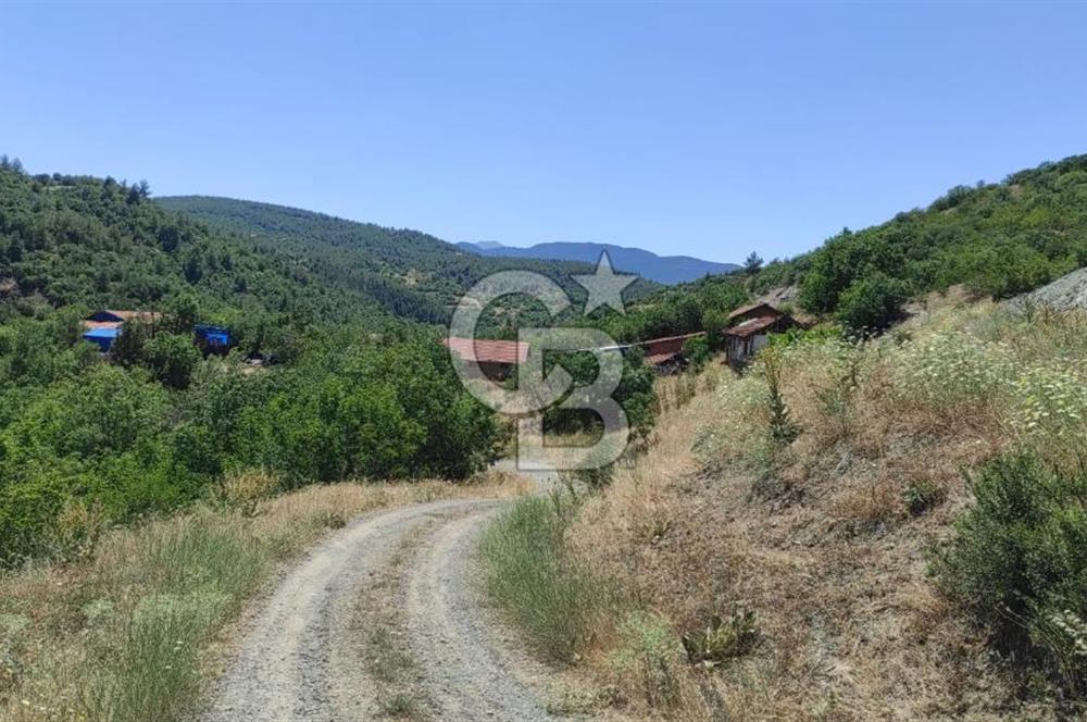 BURSA BÜYÜKORHANDA 11 DÖNÜM ÇİFTLİK ARAZİSİ