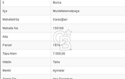 CB BLACK'TAN BURSA MUSTAFA KEMALPAŞA KARAOĞLAN'DA 7.000 M2 SATILIK TARLA