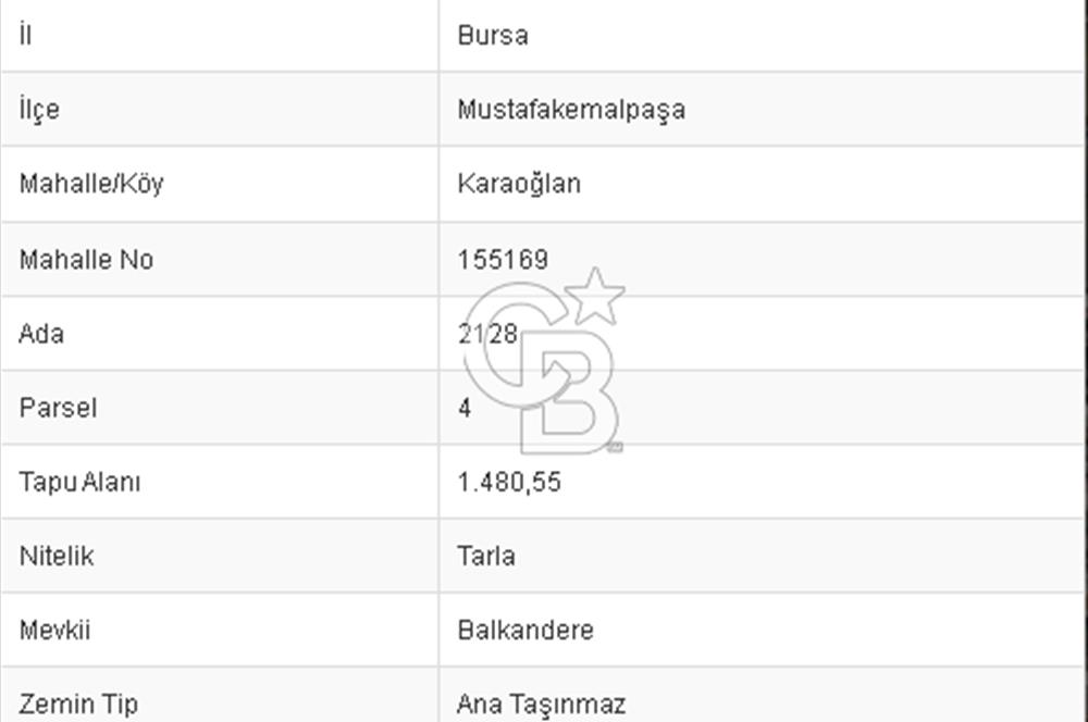 CB BLACK'TAN BURSA MUSTAFA KEMALPAŞA KARAOĞLAN'DA SATILIK TARLA