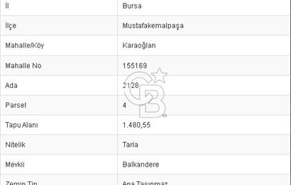CB BLACK'TAN BURSA MUSTAFA KEMALPAŞA KARAOĞLAN'DA SATILIK TARLA