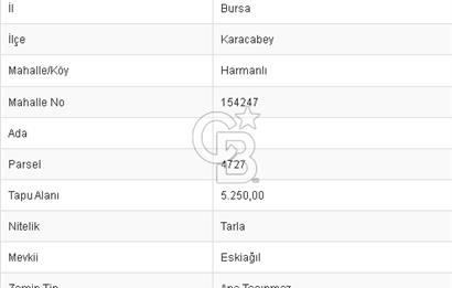 CB BLACK'TAN KARACABEY HARMANLI'DA TARLA