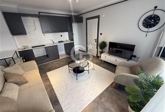 KÖRFEZ MAHALLESİN 1+1 DAİRE