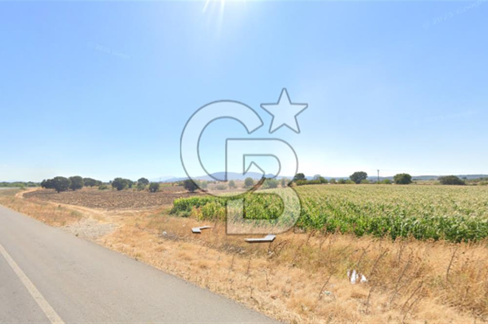 ÇANAKKALE BAYRAMİÇ TÜRKMENLİ KÖYÜ KADASTRAL YOLA CEPHELİ VERİMLİTARLA 