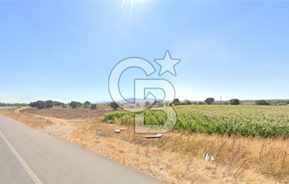 ÇANAKKALE BAYRAMİÇ TÜRKMENLİ KÖYÜ KADASTRAL YOLA CEPHELİ VERİMLİTARLA 