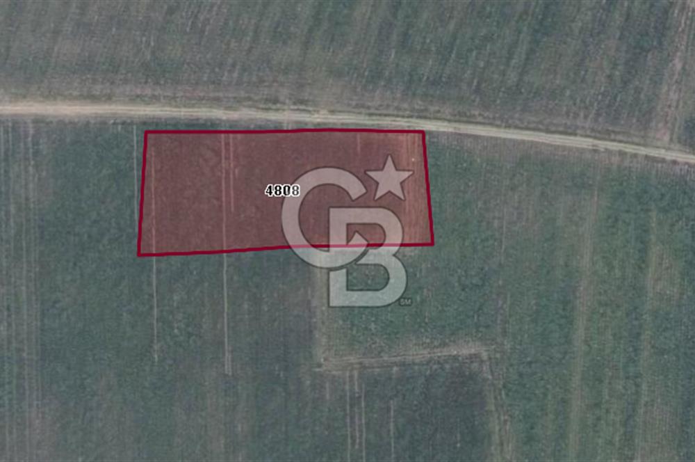 CB BLACK'TAN KARACABEY HARMANLI'DA 5.800 M2 SATILIK TARLA
