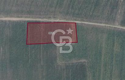 CB BLACK'TAN KARACABEY HARMANLI'DA 5.800 M2 SATILIK TARLA
