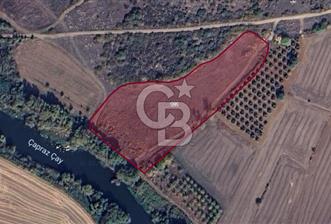CB BLACK'TAN KARACABEY HARMANLI'DA SATILIK 10.000 M2 TARLA