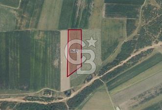 CB BLACK'TAN BURSA MUSTAFA KEMALPAŞA KARAOĞLAN'DA 7.000 M2 SATILIK TARLA