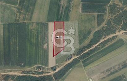 CB BLACK'TAN BURSA MUSTAFA KEMALPAŞA KARAOĞLAN'DA 7.000 M2 SATILIK TARLA