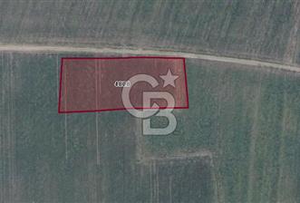 CB BLACK'TAN KARACABEY HARMANLI'DA 5.800 M2 SATILIK TARLA
