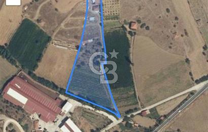 Manisa Kula’da Anayol Cepheli Satılık Arazi Ve Ev