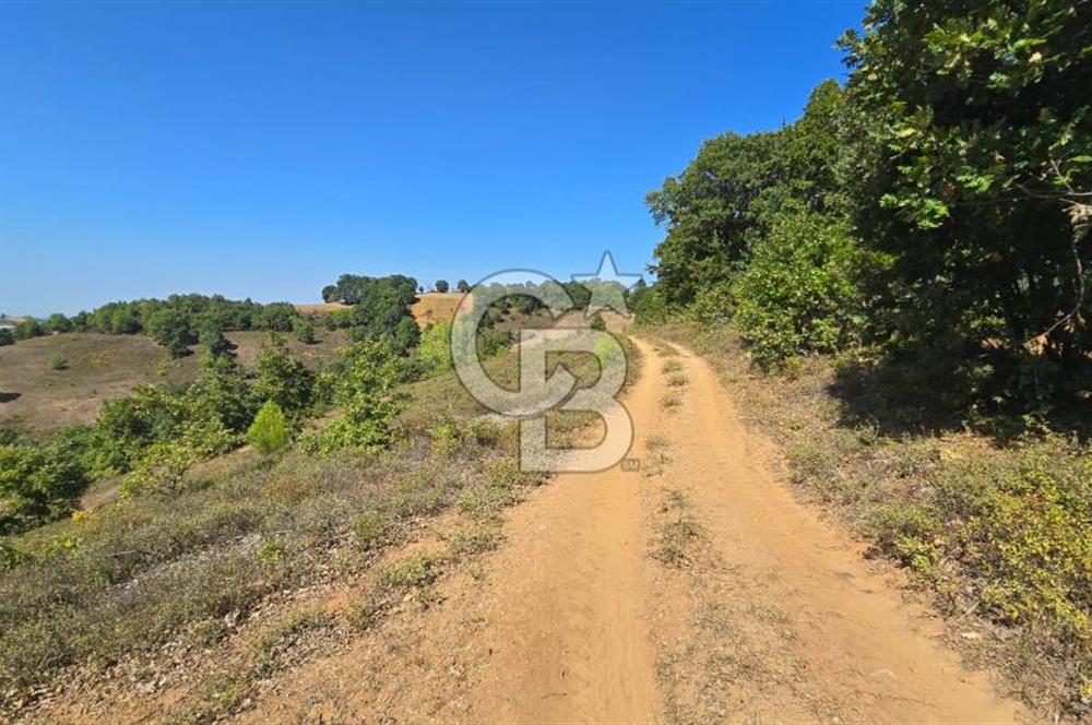 ÇANAKKALE BİGA'DA 23.200 m2 ARAZİ