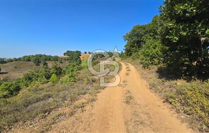 ÇANAKKALE BİGA'DA 23.200 m2 ARAZİ
