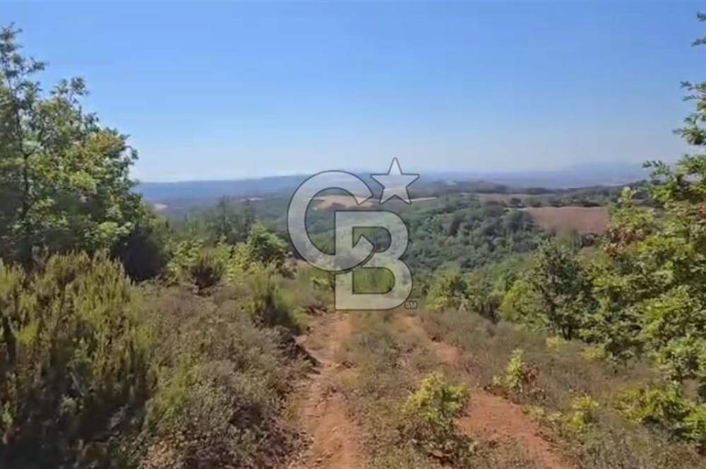 ÇANAKKALE BİGA'DA 23.200 m2 ARAZİ