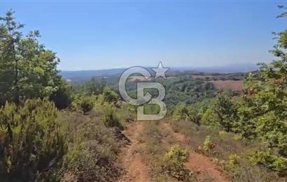 ÇANAKKALE BİGA'DA 23.200 m2 ARAZİ