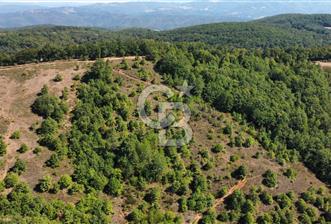 ÇANAKKALE BİGA'DA 23.200 m2 ARAZİ