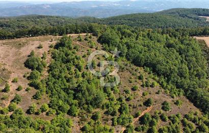 ÇANAKKALE BİGA'DA 23.200 m2 ARAZİ