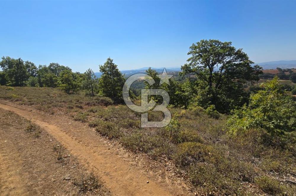 ÇANAKKALE BİGA'DA 23.200 m2 ARAZİ
