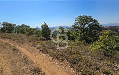 ÇANAKKALE BİGA'DA 23.200 m2 ARAZİ
