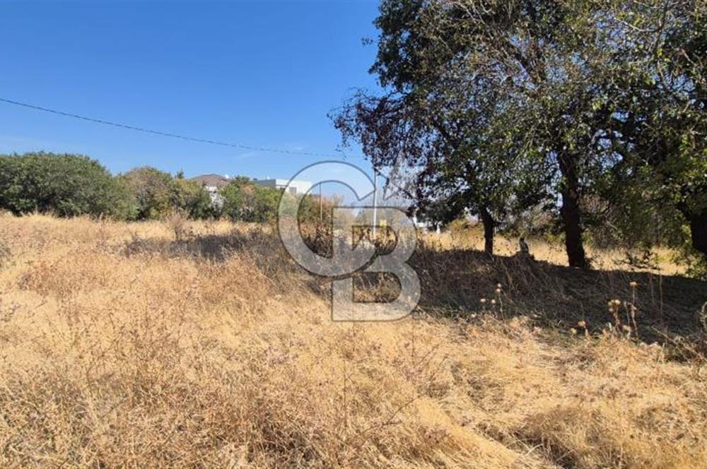 Başkarcı Vali Konağı Yakını Köşe Parsel Satılık 413 M² Arsa