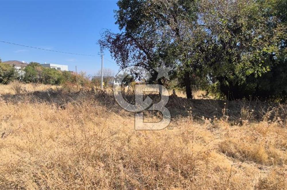 Başkarcı Vali Konağı Yakını Köşe Parsel Satılık 413 M² Arsa