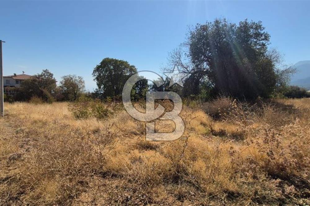 Başkarcı Vali Konağı Yakını Köşe Parsel Satılık 413 M² Arsa