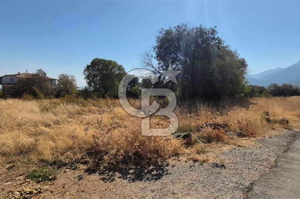 Başkarcı Vali Konağı Yakını Köşe Parsel Satılık 413 M² Arsa
