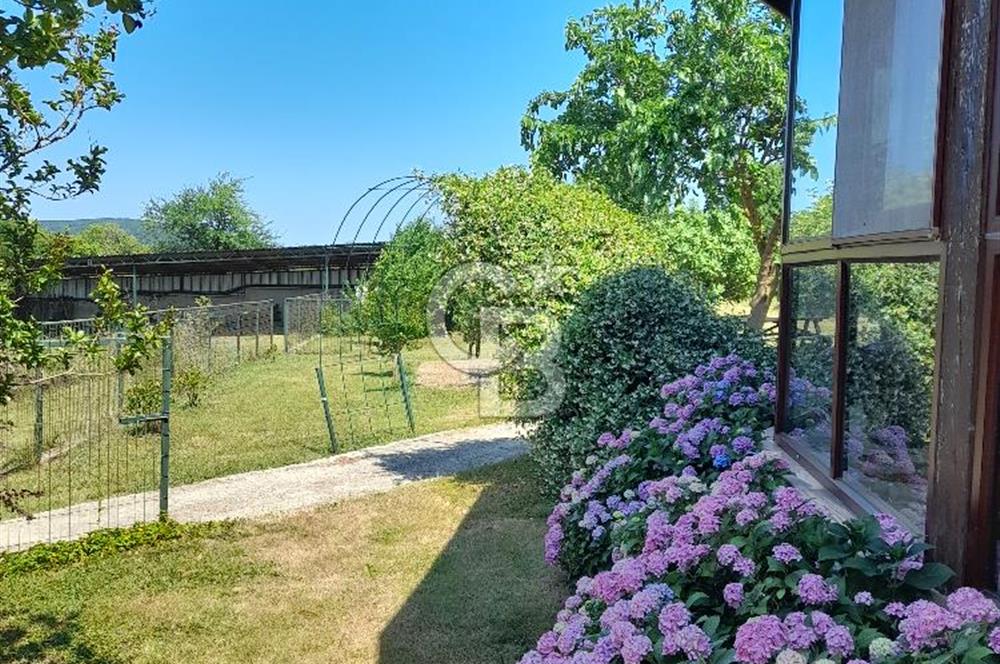 Kırklareli Vize Kışlacık Köyünde Satılık Çiftlik 5.221m2