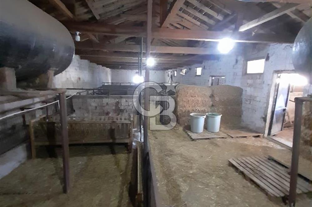 Kırklareli Vize Kışlacık Köyünde Satılık Çiftlik 5.221m2
