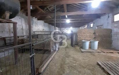 Kırklareli Vize Kışlacık Köyünde Satılık Çiftlik 5.221m2