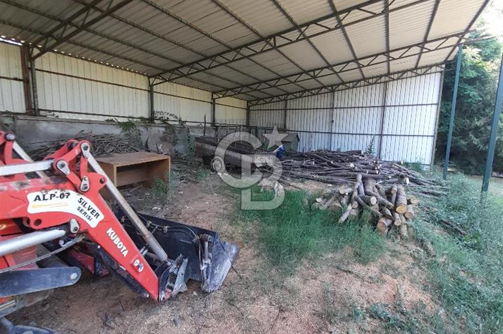 Kırklareli Vize Kışlacık Köyünde Satılık Çiftlik 5.221m2