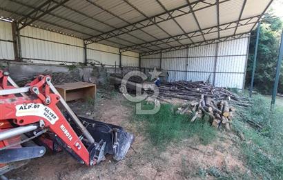 Kırklareli Vize Kışlacık Köyünde Satılık Çiftlik 5.221m2
