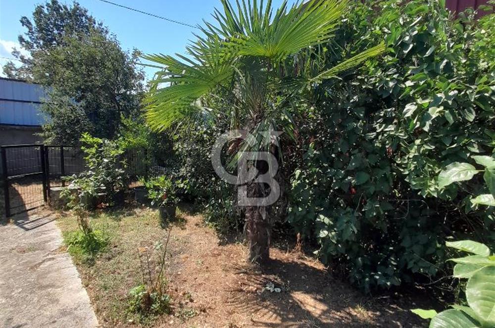 Kırklareli Vize Kışlacık Köyünde Satılık Çiftlik 5.221m2