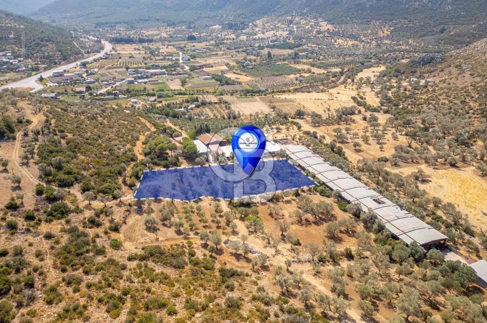 Urla Balıklıova’da Satılık Tarla 5189 m