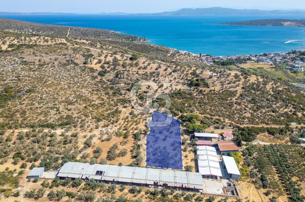 Urla Balıklıova’da Satılık Tarla 5189 m