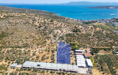 Urla Balıklıova’da Satılık Tarla 5189 m