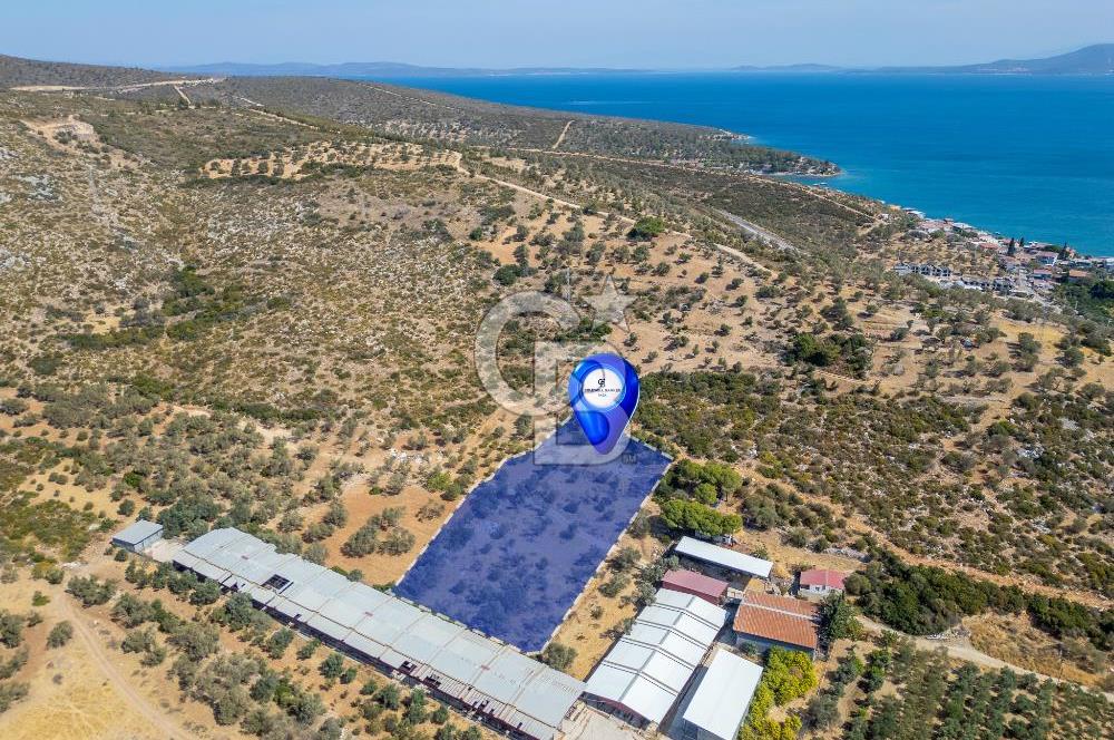 Urla Balıklıova’da Satılık Tarla 5189 m