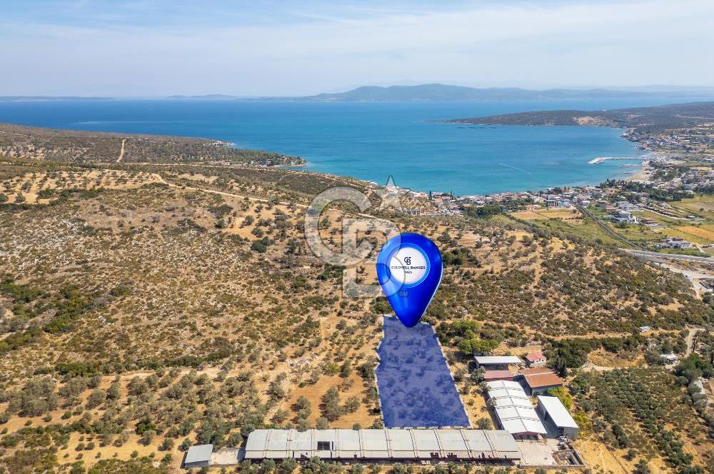 Urla Balıklıova’da Satılık Tarla 5189 m