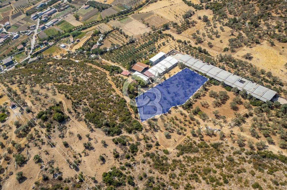 Urla Balıklıova’da Satılık Tarla 5189 m