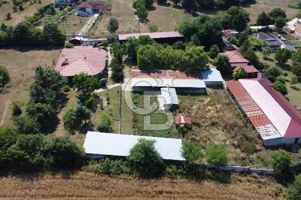 Kırklareli Vize Kışlacık Köyünde Satılık Çiftlik 5.221m2